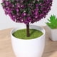 thumbnail image 3 of EeaseMX Bola de plantas artificiales, planta simulada, bonsái decorativo, bola de flores de plástico para decoración del hogar y el jardín (morado y rojo), 3 of 7