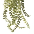 thumbnail image 3 of 12 Pack: Green Weeping Fern Spray by Ashland, 3 of 3