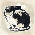 thumbnail image 2 of Vess, June Erica 20x20 Black Ornate Wood Framed with Double Matting Museum Art Print Titled - Antique Rabbit IV, 2 of 4