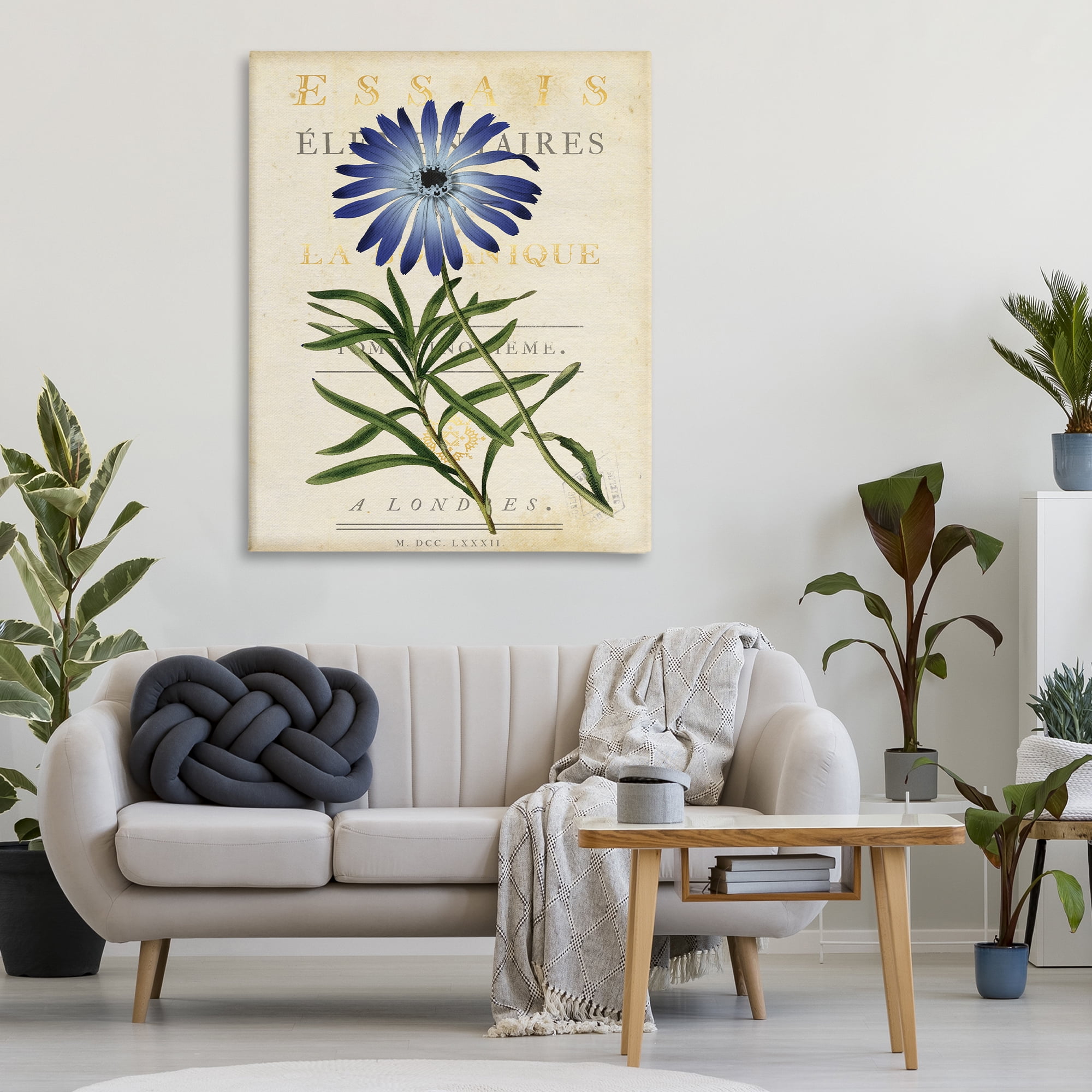 Stupell Industries Natural Botany Daisy Canvas Wall Art, design by Susan Arnot