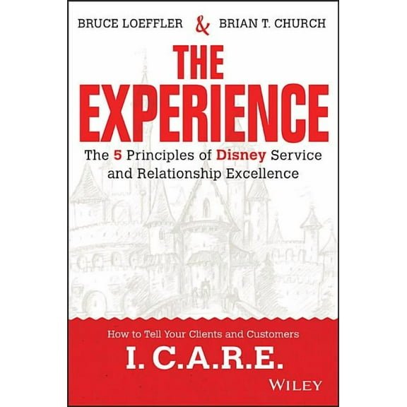The Experience (Hardcover)