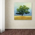 thumbnail image 3 of Trademark Fine Art 'Under the Oak I' Canvas Art by Julia Purinton, 3 of 3