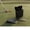 Black, variant on Zeiwohndc Plastic Golf Training Tool Golf Swing Plane Trainer For Indoor Outdoor Use