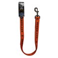 thumbnail image 1 of Nederland - Dog Leash (6 ft long), 1 of 2