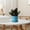 A249, variant on CQCYD Clearance under $5 Flower Pots, Nursery Plant Pot with Drainage Holes and Hole Pad and Saucers Tray for Indoor Garden Plants, Succulent, Orchid and Cactus