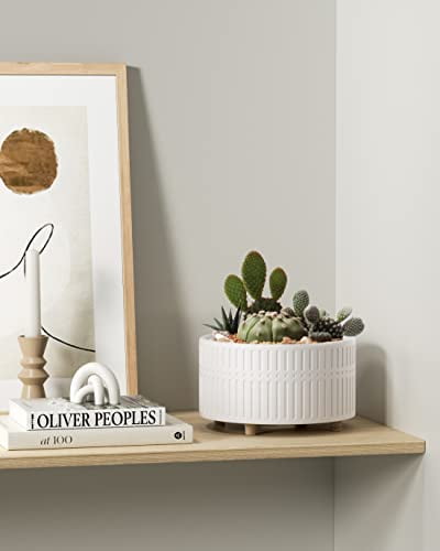 BEMAY 2-Pack 8+6.5 inch White Ceramic Succulent Pots with Drainage Holes for Indoor, Patio, and Garden Decor Plant Pots