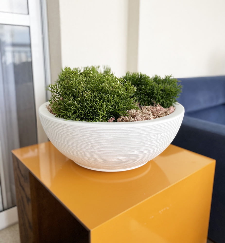 Floridis Garden Bowl Planter, Removable Saucer, Drainage Hole, Indoor/Outdoor, Large Planter Bowl 20x7.50 inches, White