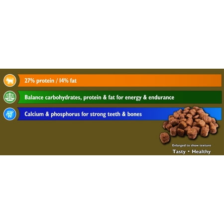 Best Quality High Fiber Dog Food Best Quality High Fiber Dog Food
