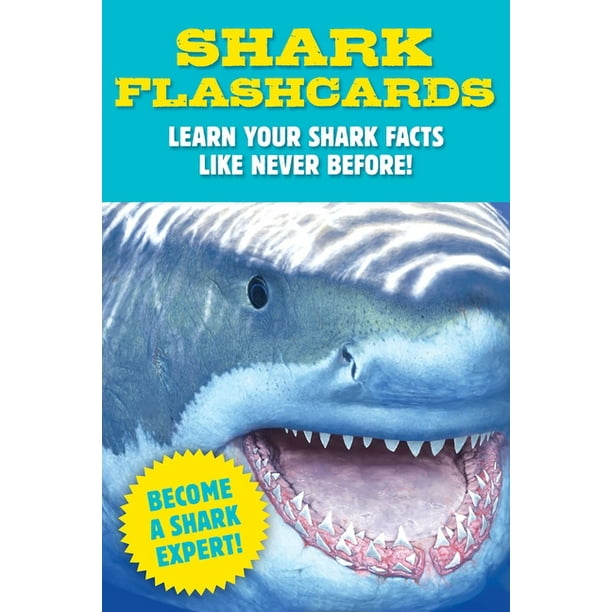 Shark Flashcards Learn Your Shark Facts Like Never Before! (Sharks