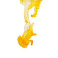 thumbnail image 3 of CP HOSPO Yellow Food Color, Bulk Food Service, 3.78L/1 Gallon, 3 of 4