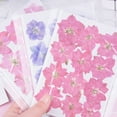 thumbnail image 3 of Flmtop 12Pcs Dried Flowers Epoxy Resin DIY Creation Long-lasting Dried Pressed Flowers for Bookmark, 3 of 11
