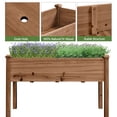 thumbnail image 5 of Renwick Fir Wood Garden Bed, Elevated Waist-High Design, Dark Brown, 5 of 10