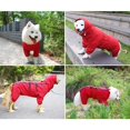 thumbnail image 2 of JinsintoDog Imperméable pour Chien Imperméable Ajustable avec Trous pour Ceinture de Sécurité, 2 of 4