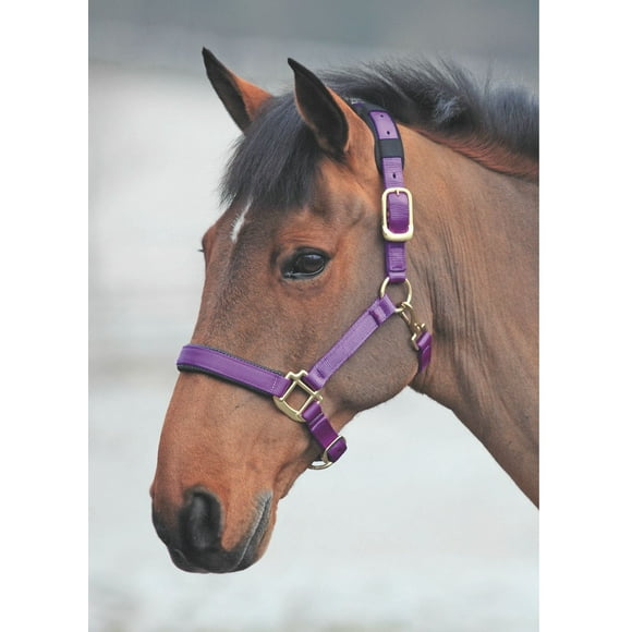 Shires Collier de Tête en Nylon Topaze Cuir