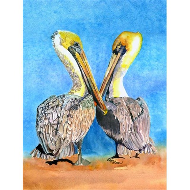 Taille de la Maison en Toile Drapeau Pelican