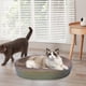 thumbnail image 1 of Alfombrilla rascadora para gatos, accesorios multifunción para animales, garra de molienda de papel para mascotas, Hotel, porche, uso , De madera, SG, 1 of 8