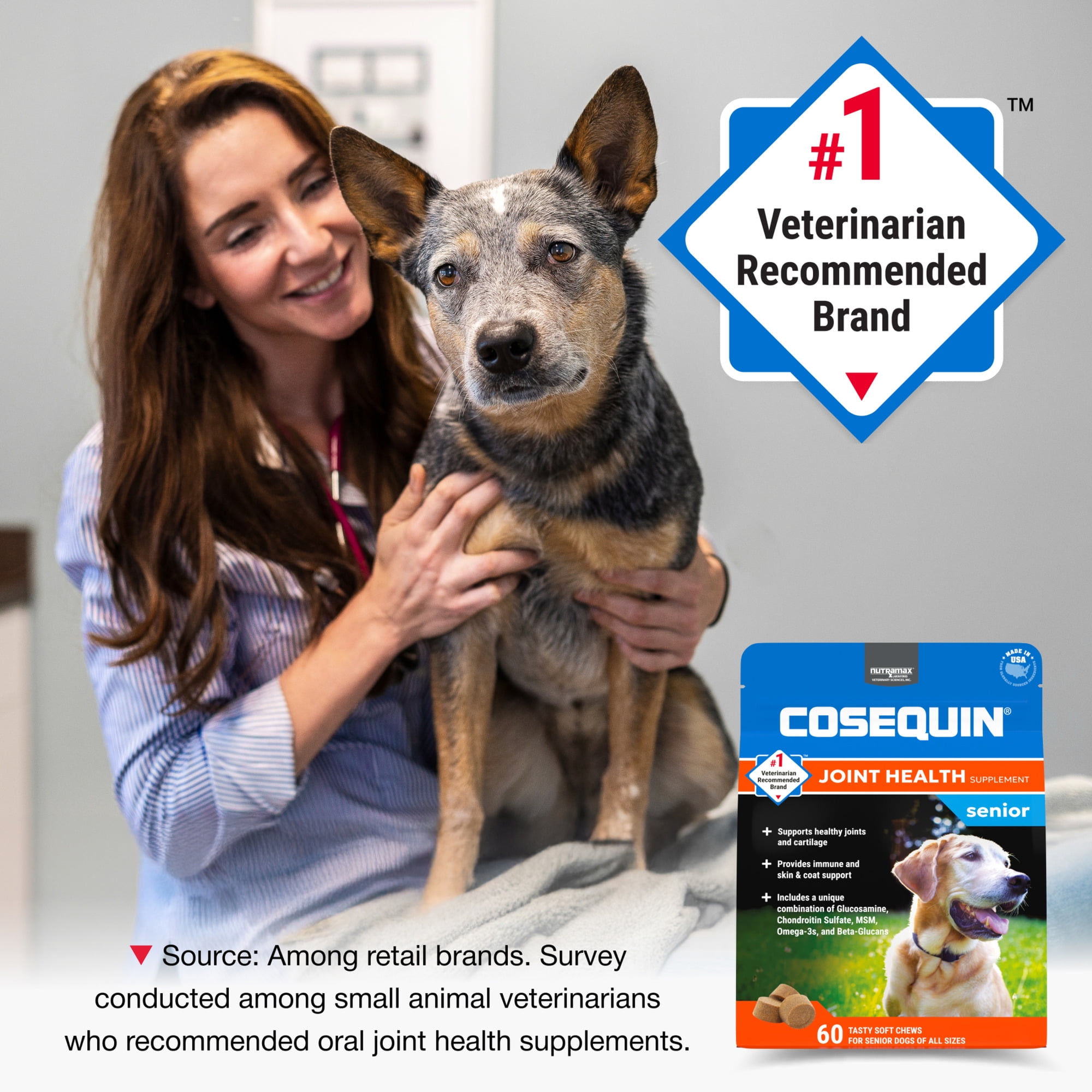 Nutramax Cosequin for Senior Dogs Joint Health Supplement, Soft Chews, 60 Count