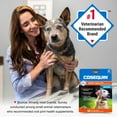 thumbnail image 6 of Nutramax Cosequin for Senior Dogs Joint Health Supplement, Soft Chews, 60 Count, 6 of 13