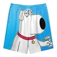 thumbnail image 3 of Family Guy Short Sweatpants Summer Daily Cozy Lounge Shorts 3D Printed Beach Shorts Sweatpants With Drawstring And Pockets, 3 of 7