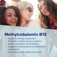 thumbnail image 6 of Superior Source No Shot Methylcobalamin B-12 1,000 mcg - Vitamin B-12 to Support Energy Production, Brain Health & Overall Wellness - Sublingual Tablets for Rapid Absorption - 60 Dissolving Tablets, 6 of 9