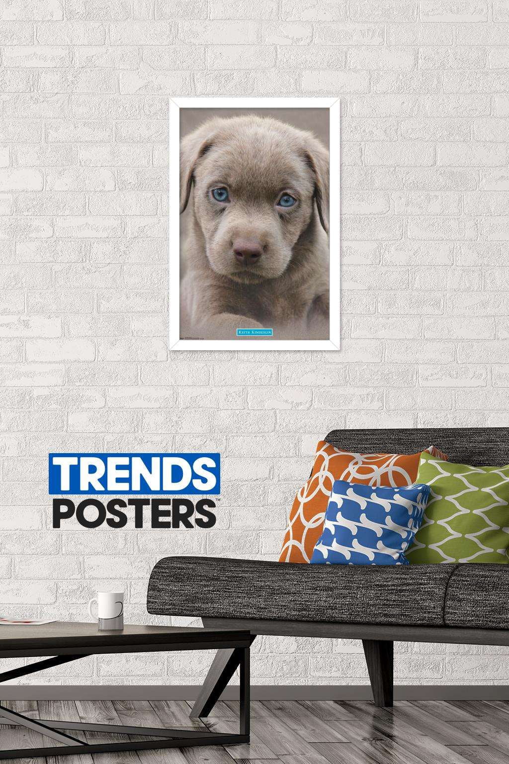 Keith Kimberlin - Puppy - Blue Eyes Wall Poster, 14.725" x 22.375", Framed