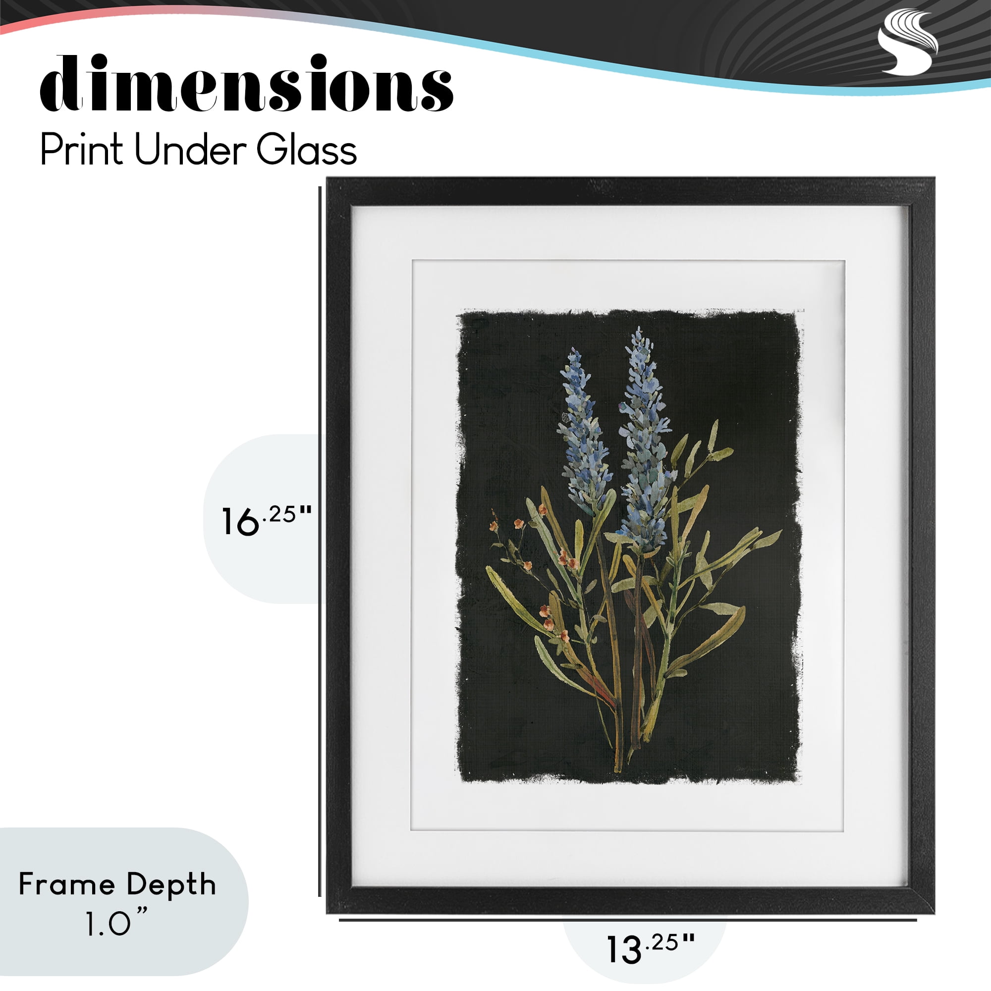Stupell Industries Lavender Sprigs on Dark Background Black Framed Print Under Glass, design by Carol Robinson