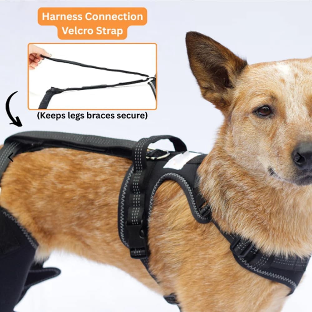 Wag Wize Knee Brace Harness for Dogs — Immediate Pain Relief & Improve Mobility,Wagwize Dog Knee Brace with Harness/4 Limb Wear Adjustable/Metal Stabilization System,Wagwize Dog Hip Brace (M)