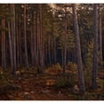 thumbnail image 2 of Herman Norrman 16x15 Gold Ornate Wood Frame and Double Matted Museum Art Print Titled - Interior of a Coniferous Forest (1904), 2 of 4