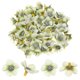 thumbnail image 1 of Uxcell 50-Pack Cabezas de Flores Artificiales, Pequeñas Flores de Seda Falsas para Bodas/Guirnaldas/Sombreros/Zapatos/Fiestas, Pétalos de Cereza Falsos [Verde Claro], 1 of 1