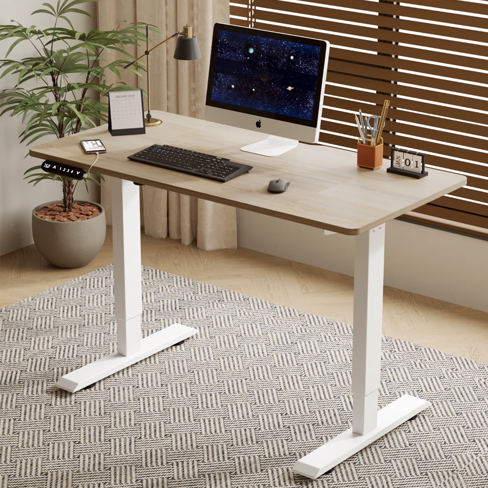 55" x 24" Black & Brown Electric Standing Desk, Height Adjustable Sit Stand Desk with Type-C Port for Home Office