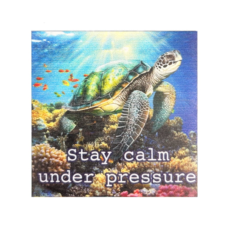 JennyGems Keep Moving Forward Turtle Fridge Magnet – Wooden Inspirational Decor