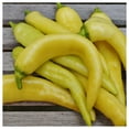 thumbnail image 4 of Everwilde Farms - 50 Sweet Banana Sweet Pepper Seeds - Gold Vault Seed Packet, 4 of 5