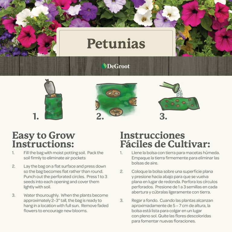 DeGroot Bag O Blooms Petunia Flower Seeds Easy to grow