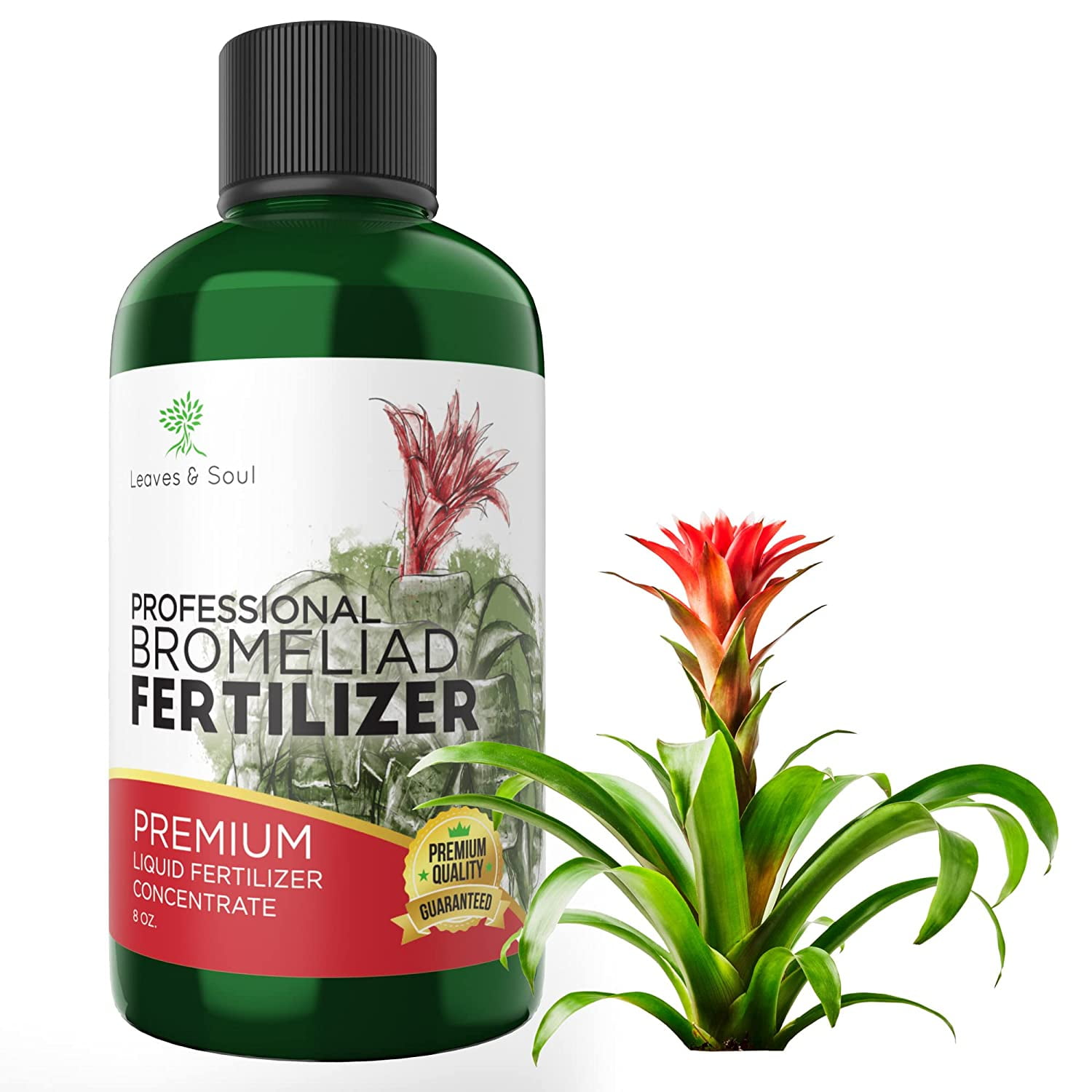 Leaves and Soul Professional Liquid Bromeliad Plant Fertilizer, 312