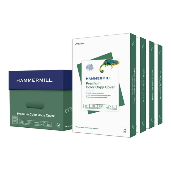 HammerMill Premium Color Copy Cover - Super Lisse - Blanc - 17 Po x 11 Po - 216 G/M - 80 lbs - 250 Feuille(S) de Papier de Couverture (pack de 4)