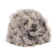 thumbnail image 2 of Short Grey Curly , Women Short Curly   Breathability  Texture  For Daily Wear, 2 of 8