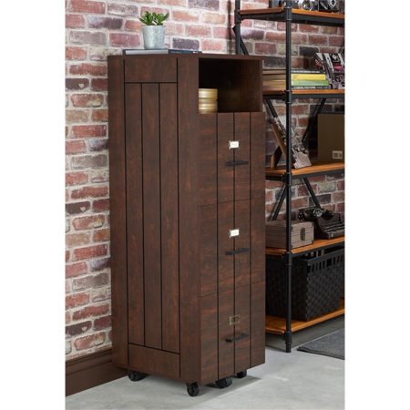 Bowery Hill Industrial Filing Cabinet in Vintage Walnut