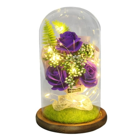 

PRINxy DecorationOrnaments Clearance Beauty and The Rose Dome on Wood Base Warm Light Mode Flowers in Glass