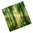 thumbnail image 4 of Impression Numérique Rideaux 3D pour Chambre Occultants Salon Forêt Ensoleillée, 4 of 8