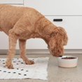thumbnail image 3 of Waggo Dipper Cuenco de cerámica para perros de razas pequeñas y grandes, pesado y duradero, plato de agua y comida para mascotas, apto para lavavajillas, moderno (crema de mantequilla pequeña), 3 of 5