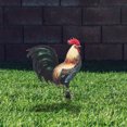 thumbnail image 4 of MasteelfCA Piquet de Poulet pour Jardin Coq Sculpture Réaliste pour Cour, 4 of 8