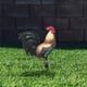 thumbnail image 4 of Letrero de gallinero con forma de estaca para jardín, escultura de gallo realista para jardín, 4 of 5