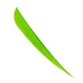 thumbnail image 3 of ziyahi 12 Pieces Archery Hunting Arrow Feather Fletching Right Wing Fletches 4 inch Fluorescence Green, 3 of 9