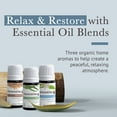 thumbnail image 2 of Pranarom - Meditation Diffusion Essential Oil Kit (3-Pack of 5ml) - Meditation, Zen, and Purity Essential Oils - 100% Pure Essential Oil | USDA and ECOCERT Certified Organic, 2 of 4