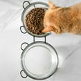 thumbnail image 3 of para de Doble con Soporte  Extraíble Oso Gloria Comedero para mascotas, 3 of 8