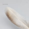 thumbnail image 3 of Material Plumas para Atar Moscas Plumas Pato Manchadas Material para Y Colas Moscas, 3 of 9
