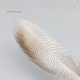 thumbnail image 3 of Material Plumas para Atar Moscas Plumas Pato Manchadas Material para Y Colas Moscas, 3 of 9