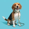 thumbnail image 2 of Vibrant Life 6' Fashion Leash, Blue Grid, L, 2 of 9