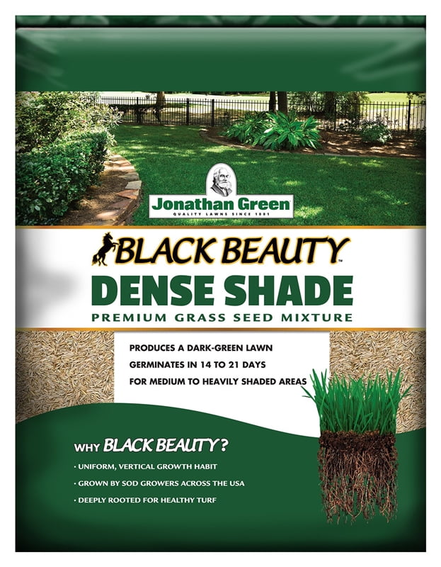Jonathan 10622 Dense Shade Grass Seed, 1 lb, 600 s