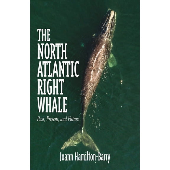 The North Atlantic Right Whale (Paperback)